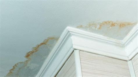 water damage apartment ceiling|Apartment Ceiling Leak Causes & What To Do 